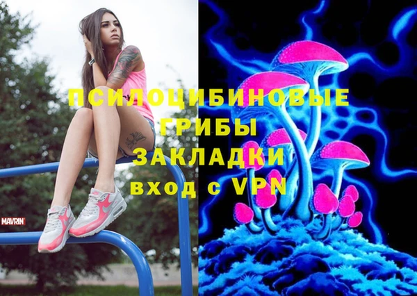 PSILOCYBIN Бородино