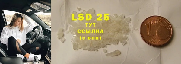 PSILOCYBIN Бородино