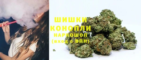 PSILOCYBIN Бородино