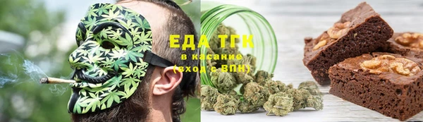 PSILOCYBIN Бородино