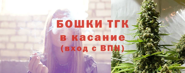 PSILOCYBIN Бородино