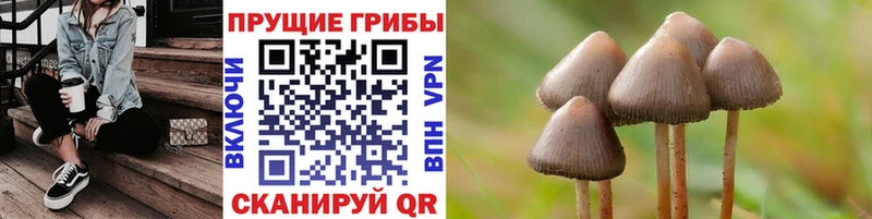 Галлюциногенные грибы GOLDEN TEACHER  Купить где  Облучье 